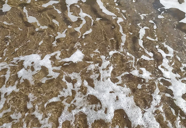 পরিবেশগত পর্যবেক্ষণ